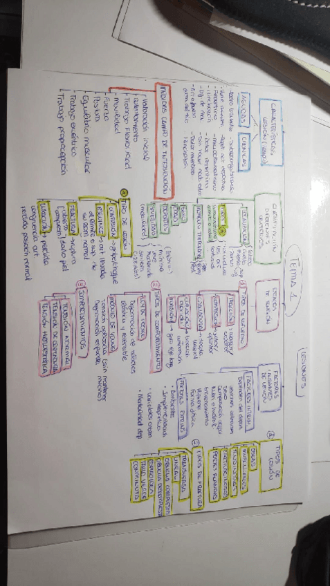 Miniatura del documento EXAMEN-LESIONES.pdf