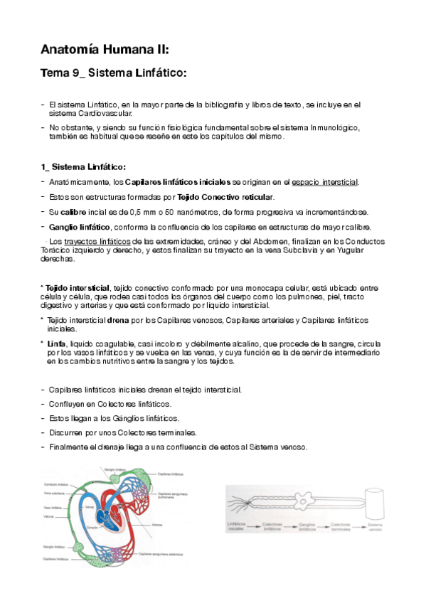 Miniatura del documento 9-Sistema-Linfatico.pdf