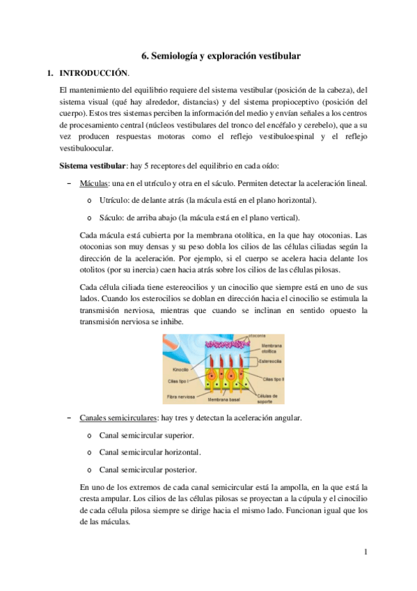Miniatura del documento 6.-Semiologia-y-exploracion-vestibular.pdf