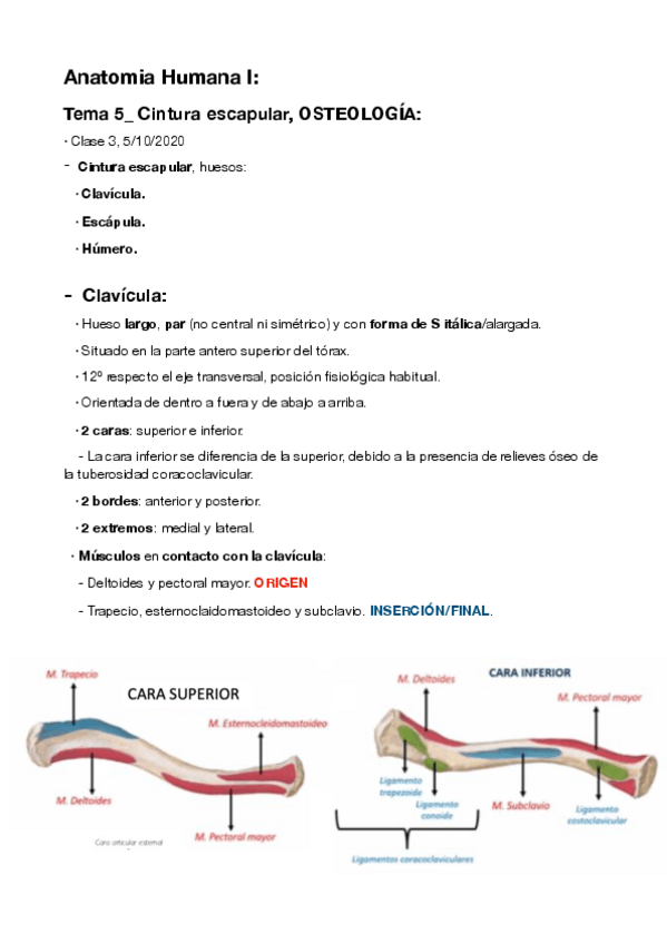 Miniatura del documento 5-C.pdf