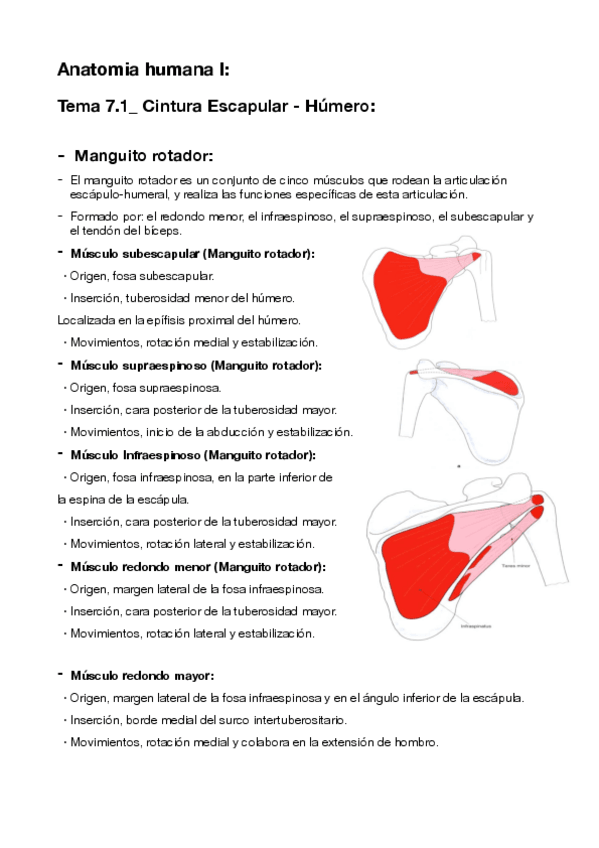 Miniatura del documento 7.pdf