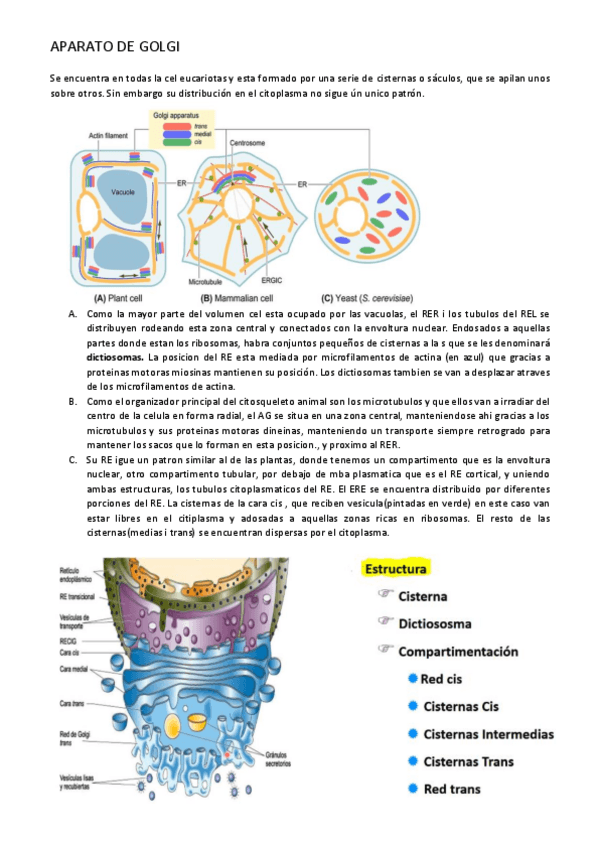 Miniatura del documento AG.pdf