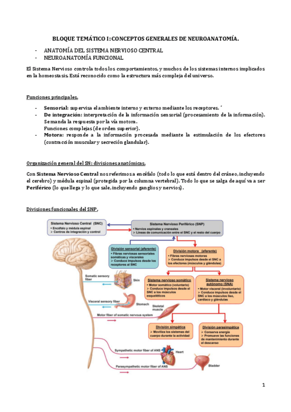 Miniatura del documento Bloque-I.pdf