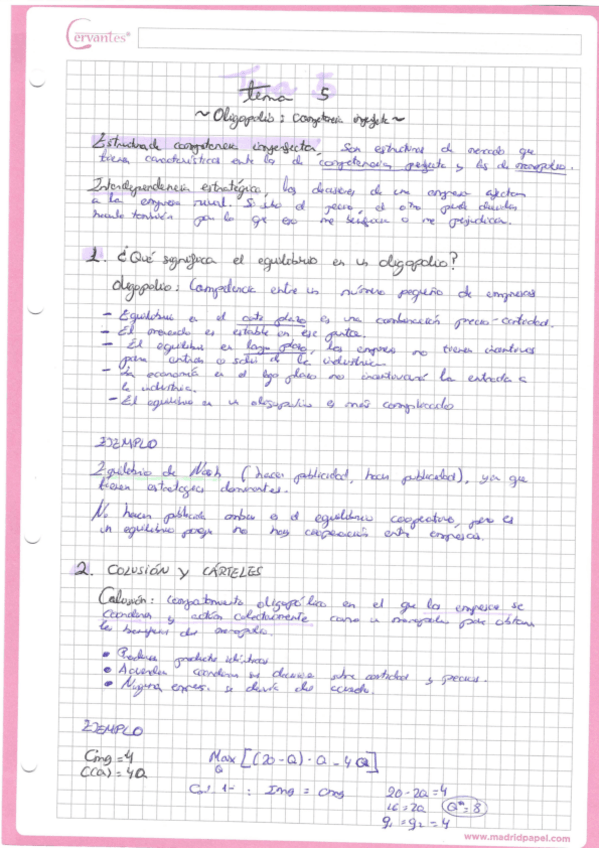 Miniatura del documento APUNTES-TEMA-5.pdf