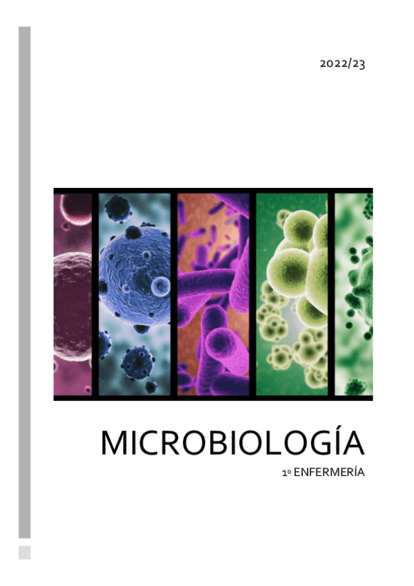 Miniatura del documento Microbiología-apuntes.pdf