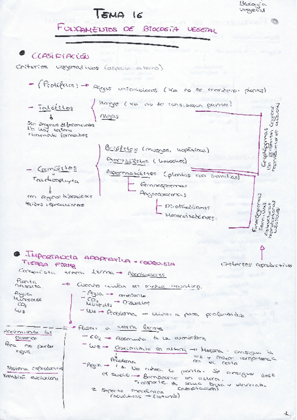 Miniatura del documento BIO-VEGETAL-TEMA-16.pdf