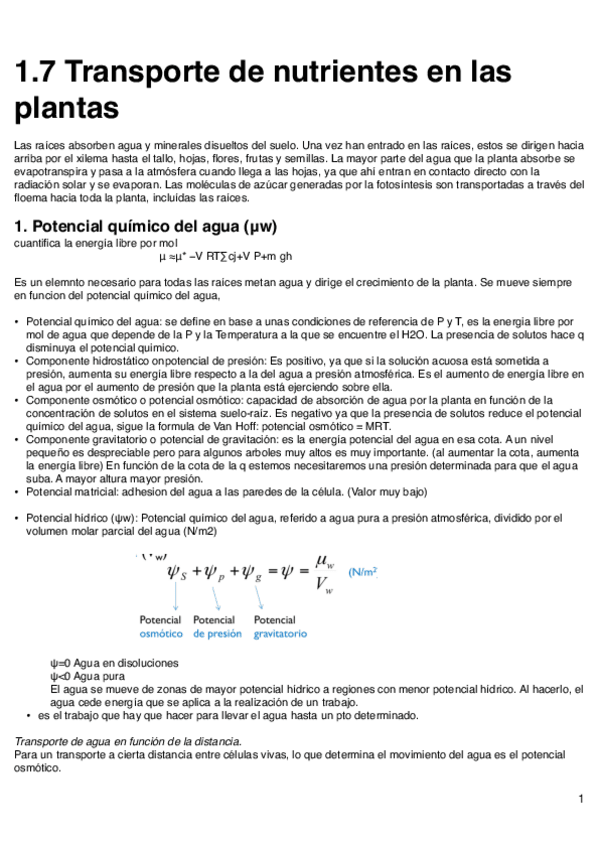 Miniatura del documento Transporte-de-nutrientes-en-las-plantas.pdf