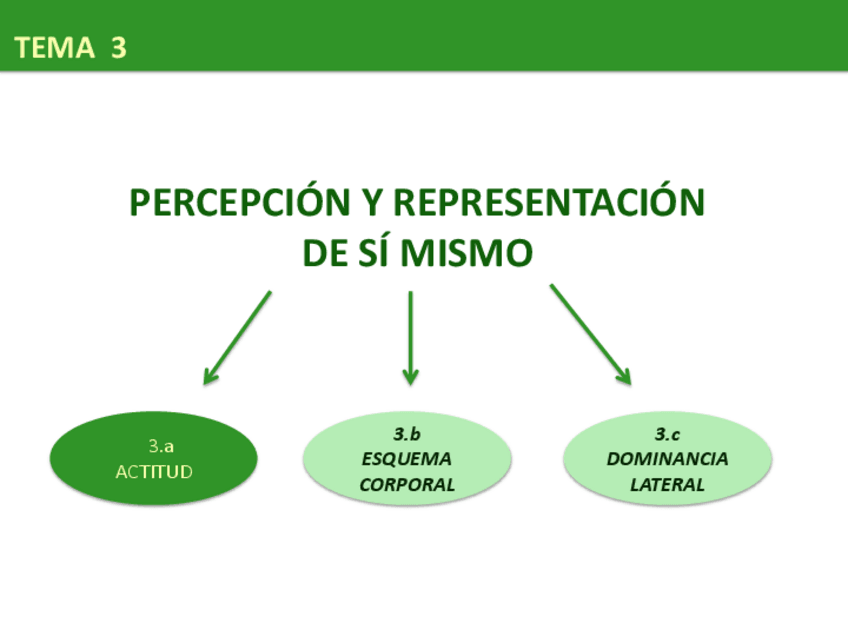 Miniatura del documento marisa TEMA 3a - actitud.pdf