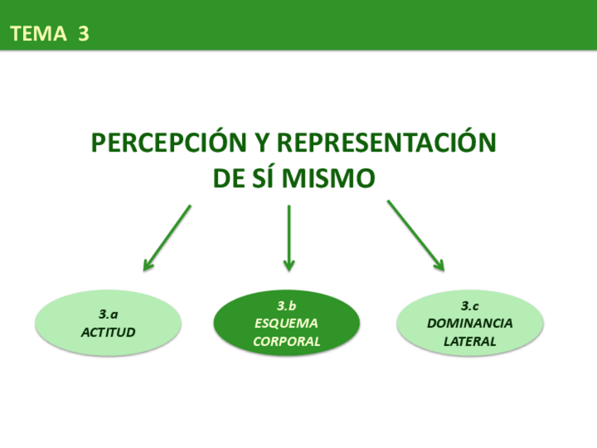 Miniatura del documento marisa TEMA 3b - esq. corporal.pdf
