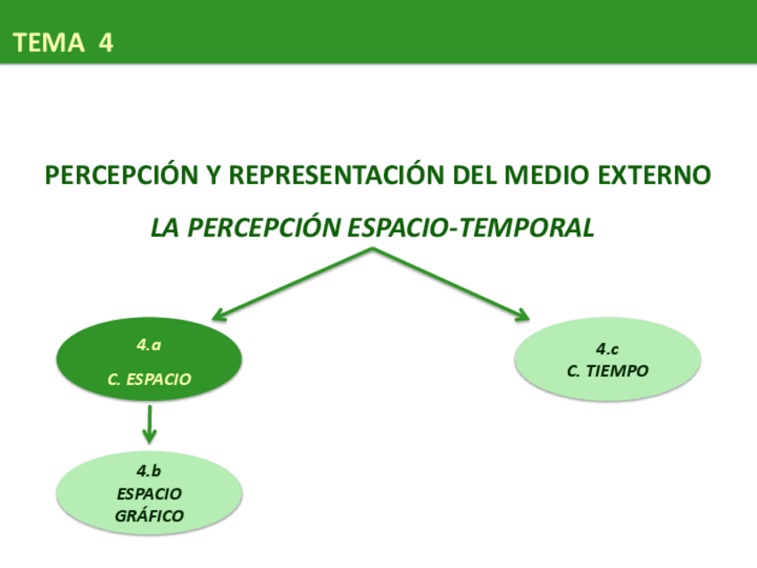 Miniatura del documento marisa TEMA 4a - espacio.pdf