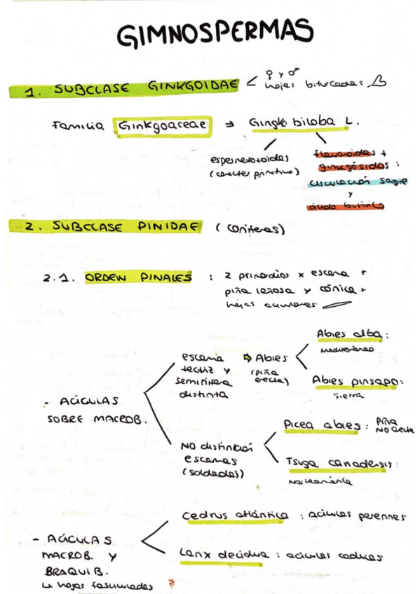 Miniatura del documento Botanica-resumen.pdf