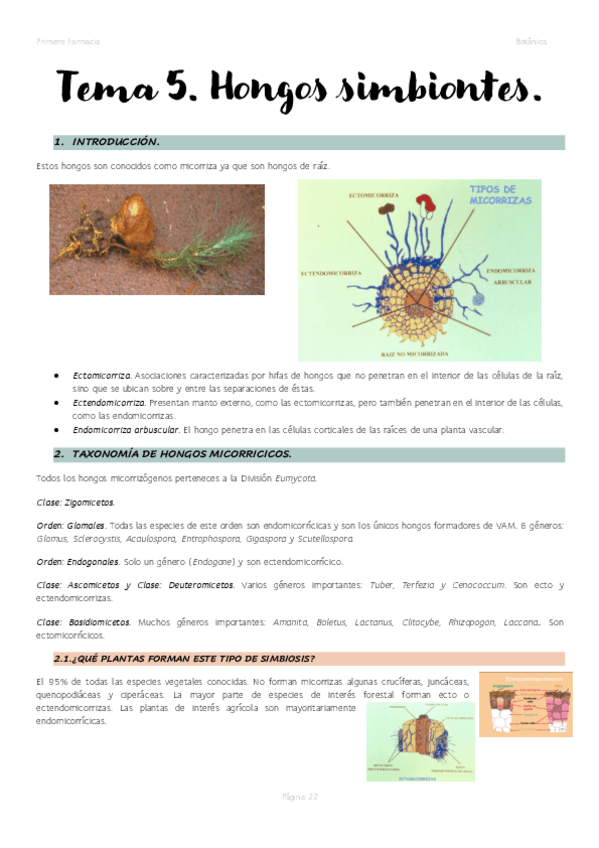 Miniatura del documento Tema-5.-Hongos-simbiontes..pdf