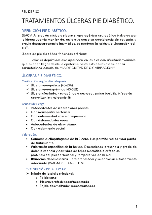 Miniatura del documento Peu-de-risc-9-Tratamiento-Ulceras-Pie-Diabetico.pdf