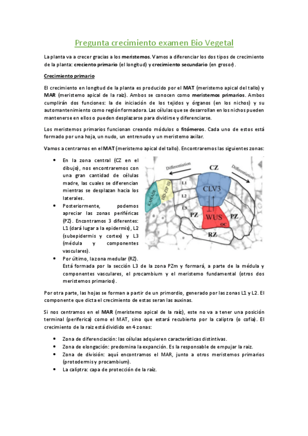 Miniatura del documento Pregunta-crecimiento-examen-Bio-Vegetal.pdf