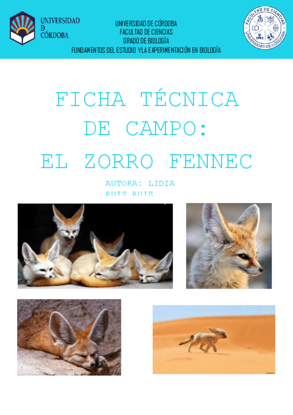 Miniatura del documento FICHA-TECNICA-DE-CAMPO.pdf