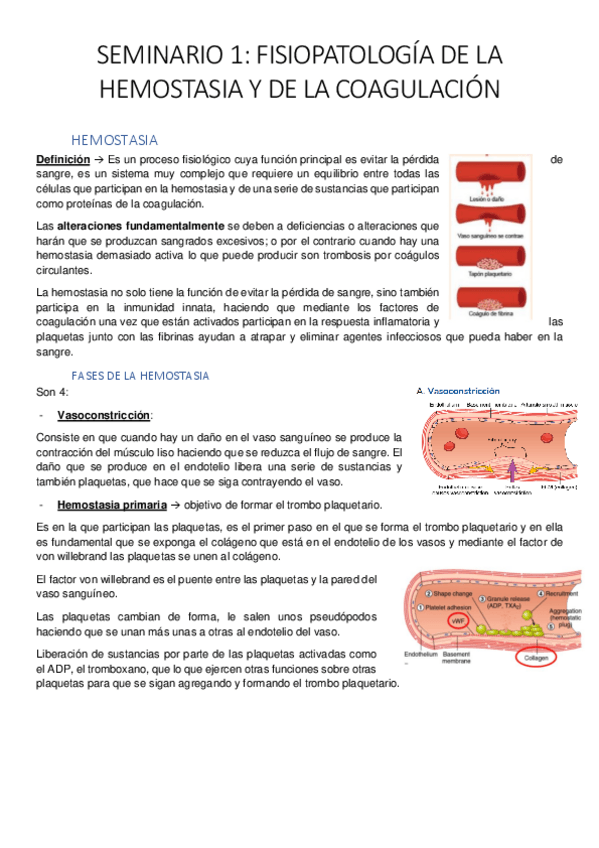 Miniatura del documento SEMINARIO-1-ALTERACIONES-DE-LA-HEMOSTASIA.pdf