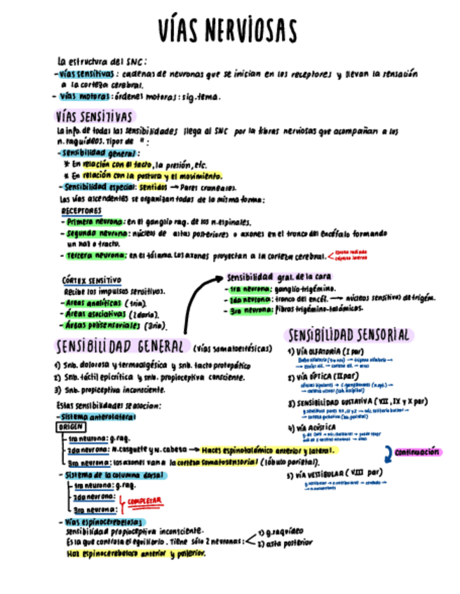 Miniatura del documento Tema-17-esquema.pdf