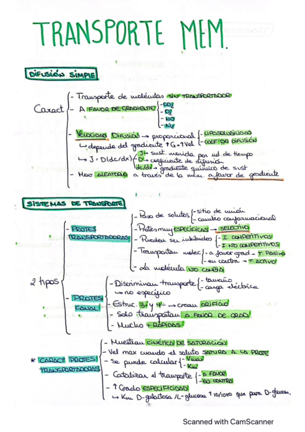 Miniatura del documento T6.pdf
