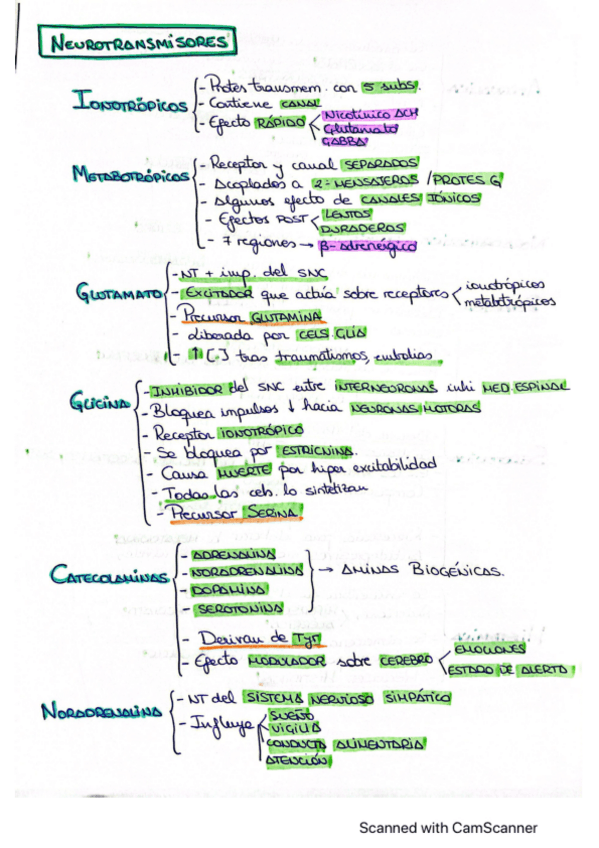 Miniatura del documento Neurotransmisores.pdf