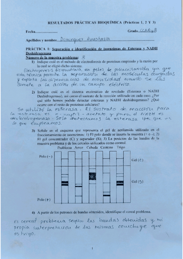 Miniatura del documento Cuaderno-Prac-Anastasia-D.G.pdf