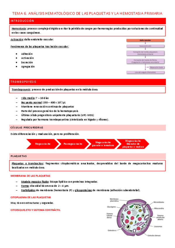 Miniatura del documento TEMA-6.-PLAQUETAS-Y-HEMOSTASIA-PRIMARIA.pdf