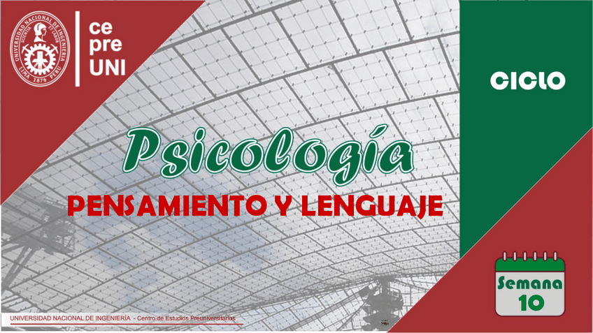 Miniatura del documento TEMA-10-PENSAMIENTO-Y-LENGUAJE.pdf