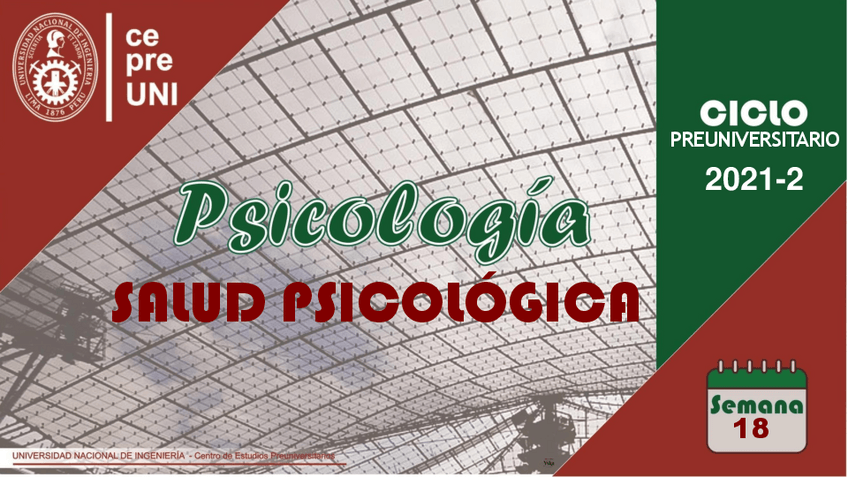 Miniatura del documento TEMA-18-SALUD-PSICOLOGICA.pdf