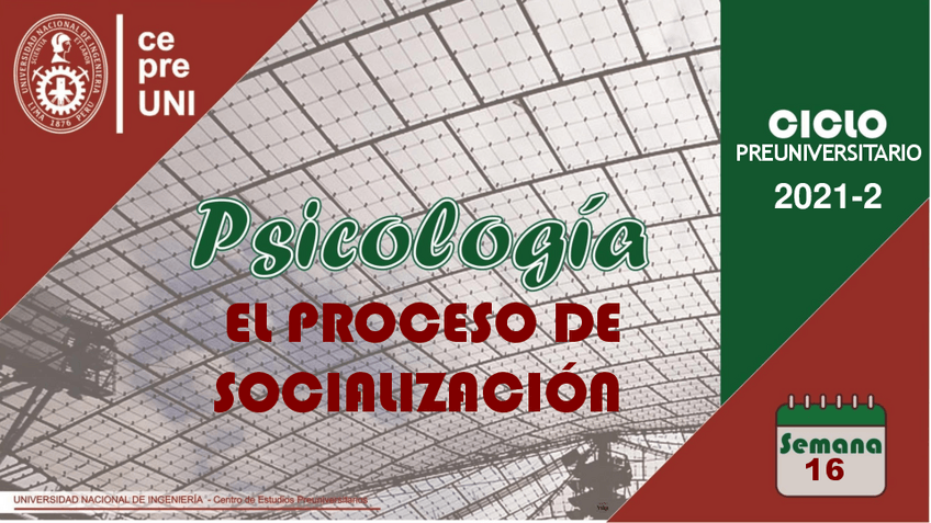 Miniatura del documento TEMA-16-PROCESO-DE-SOCIALIZACION.pdf