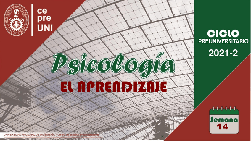 Miniatura del documento TEMA-14-EL-APRENDIZAJE.pdf