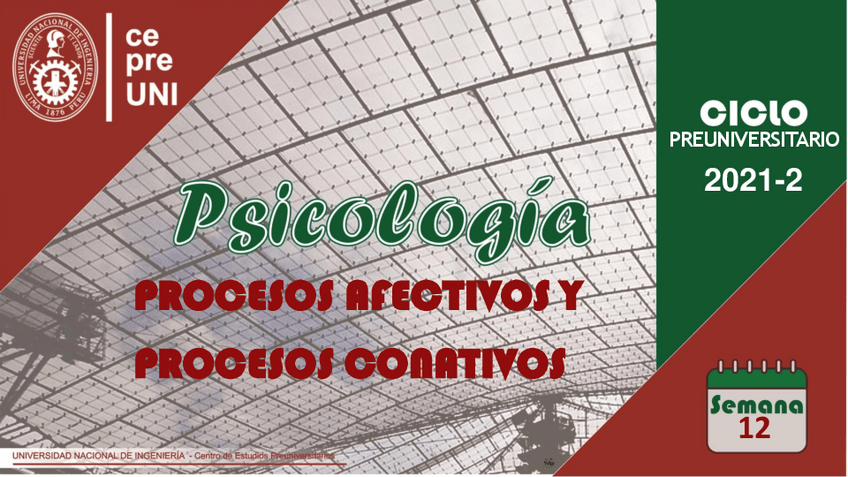 Miniatura del documento TEMA-12-PROCESO-AFECTIVOS-Y-CONNITIVOS.pdf