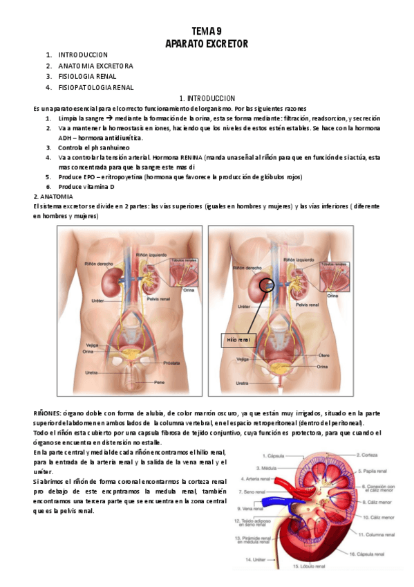 Miniatura del documento TEMA-9-FISIOPATOLOGIA.pdf
