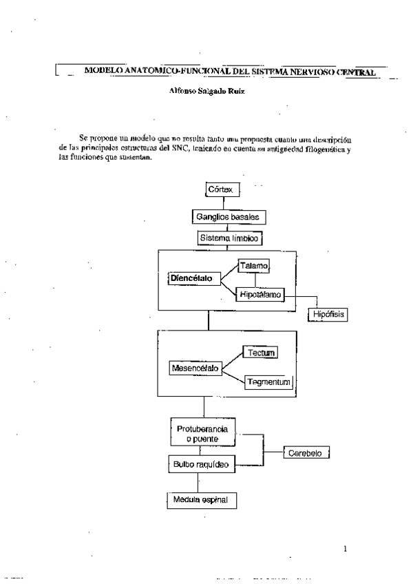Miniatura del documento ApuntesorganizacionFuncionalSistemaNervioso.pdf