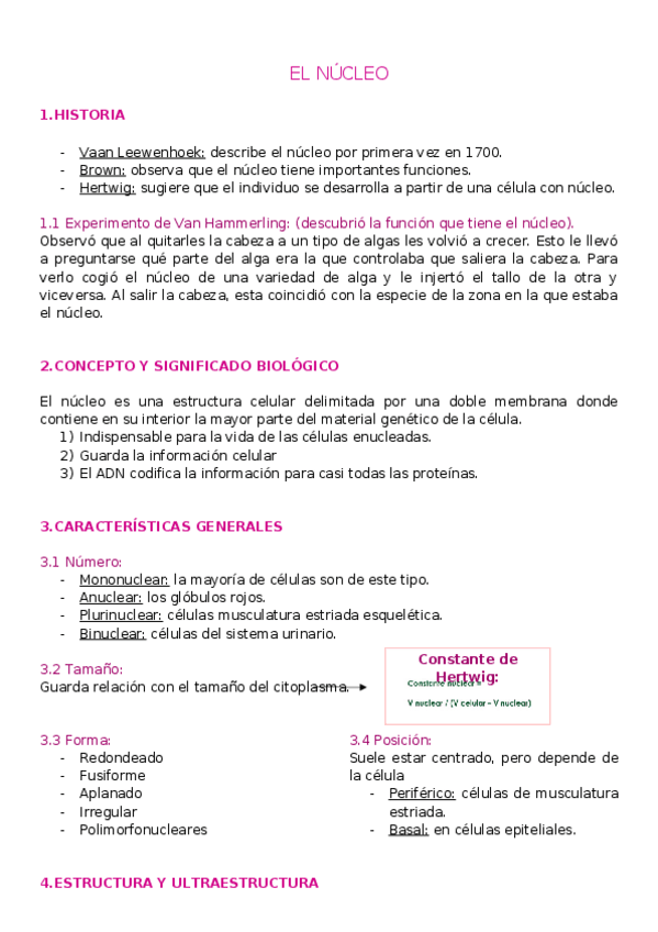 Miniatura del documento T4.-NUCLEO.docx