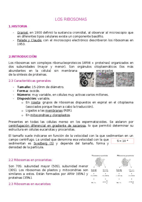 Miniatura del documento T6.-RIBOSOMAS.docx
