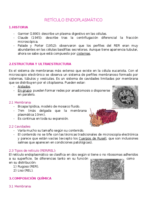 Miniatura del documento T7.-RETICULO.docx
