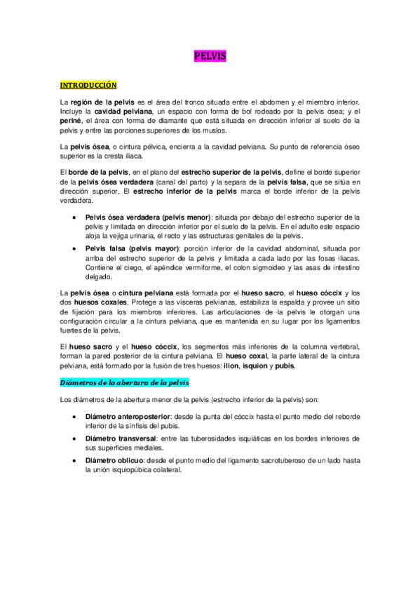 Miniatura del documento PELVIS.pdf