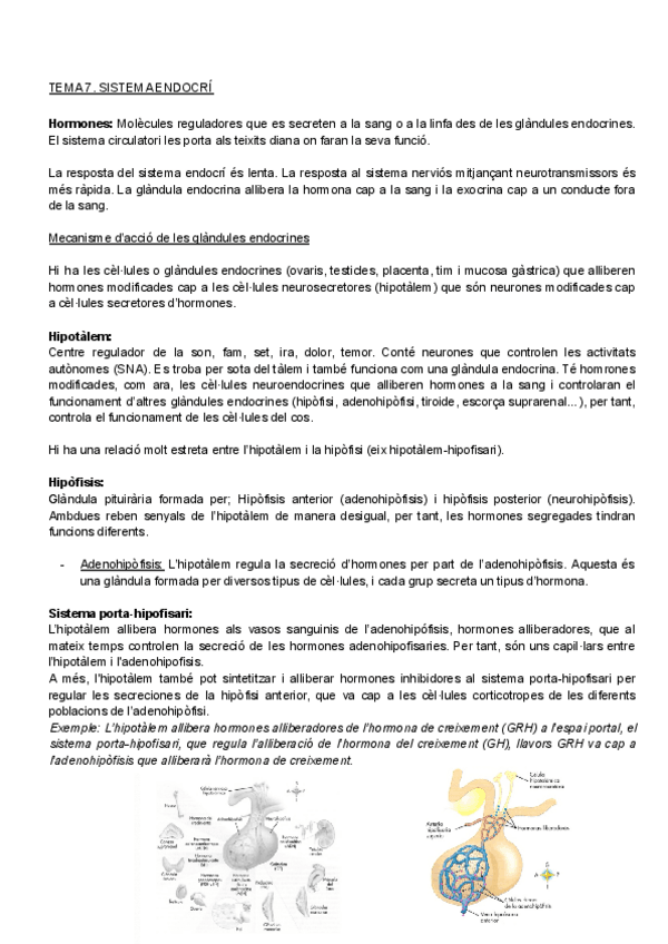 Miniatura del documento Bloc III Fisiologia.pdf