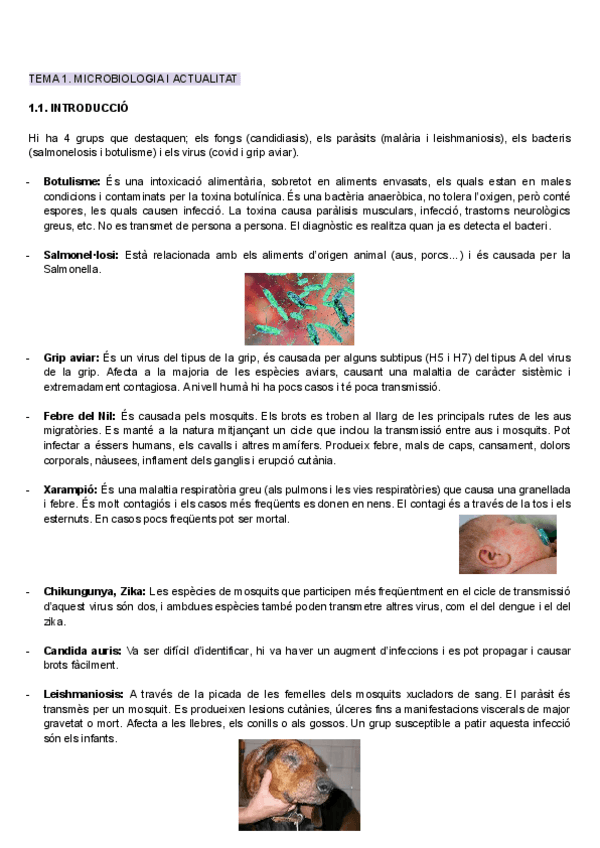 Miniatura del documento Tema-1.pdf