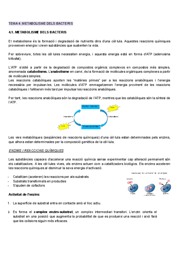 Miniatura del documento Tema-4.pdf