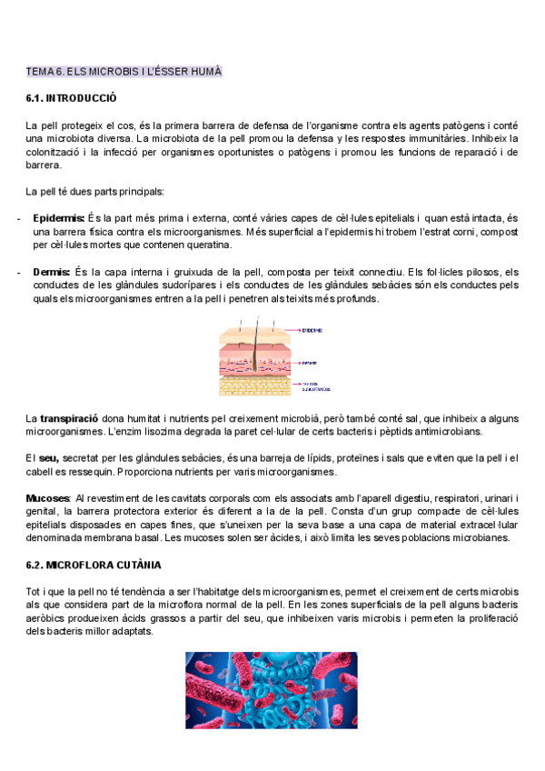 Miniatura del documento Tema-6.pdf