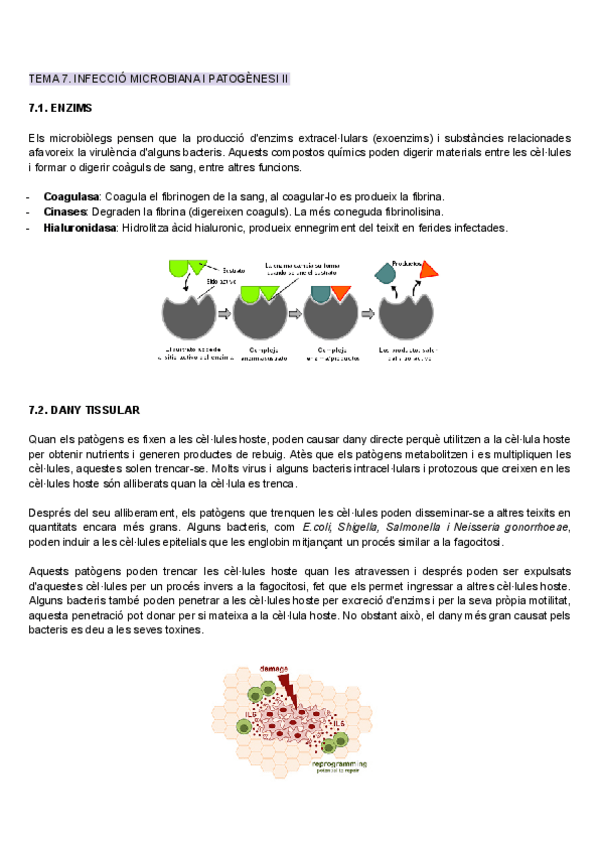 Miniatura del documento Tema-7.pdf