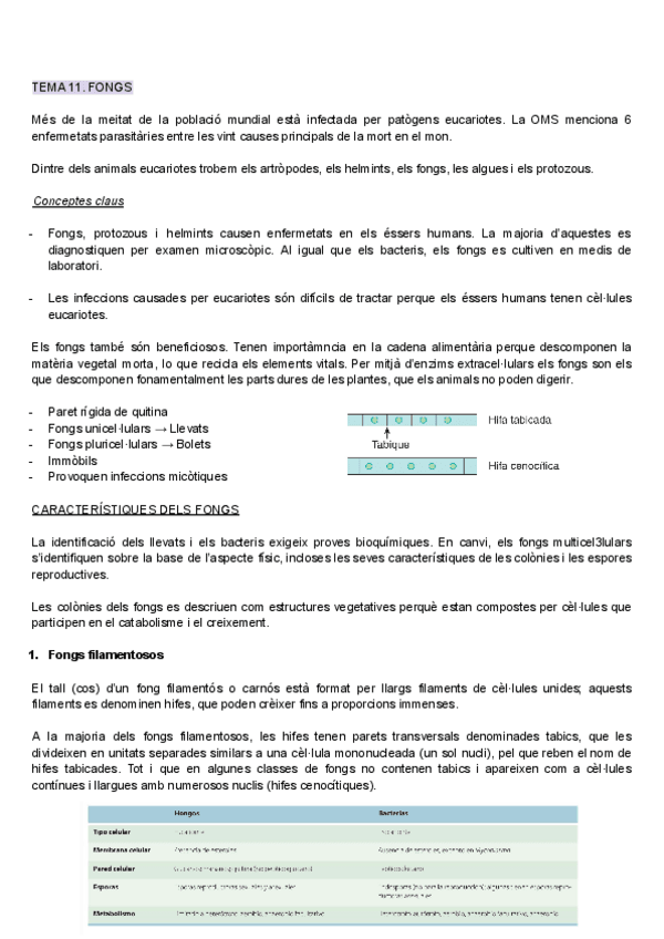 Miniatura del documento Tema-11.pdf