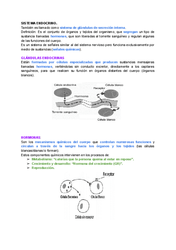 Miniatura del documento TEMA-4-BIO.pdf