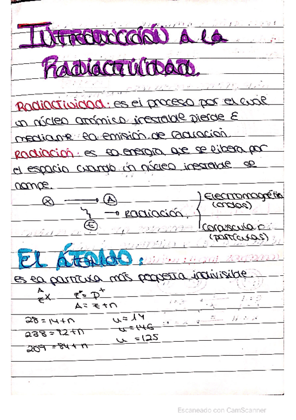 Miniatura del documento Apuntes-Proteccion-todo.pdf