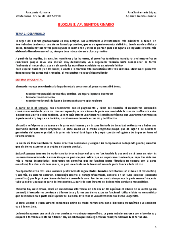 Miniatura del documento Bloque - Urogenital.pdf