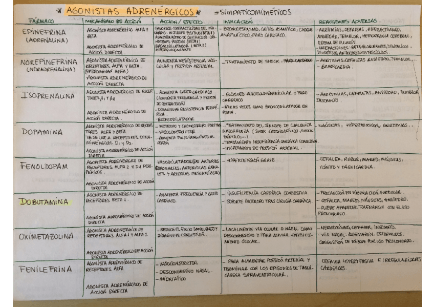 Miniatura del documento 07 agonistas y antagonistas adrenergicos.pdf