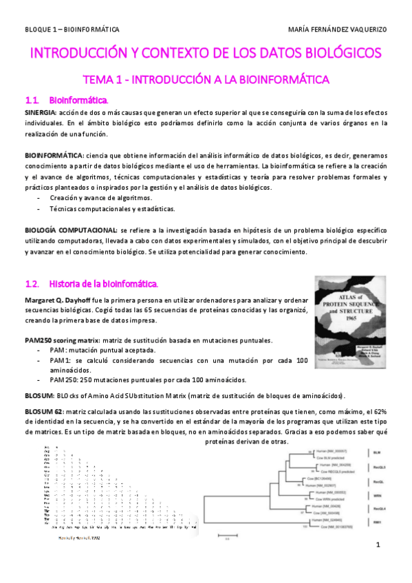 Miniatura del documento BLOQUE-1.pdf