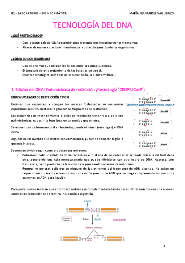 Miniatura del documento TECNOLOGIA-DEL-DNA.pdf