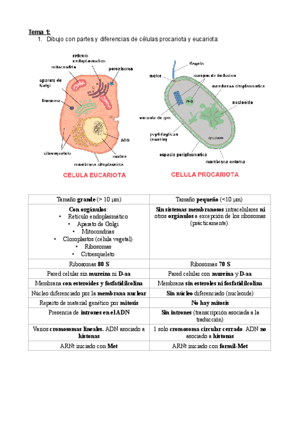 Miniatura del documento Preguntas de Micro.pdf