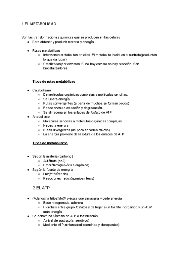 Miniatura del documento TEMA-9-BIO-el-metabolismo.pdf